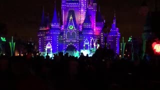 Disney Castle