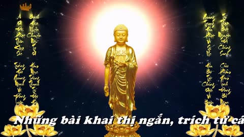 KHAI THỊ SỐ 10 - TU HÀNH, NGHE PHÁP KHÔNG ÍT, TẠI SAO CHẲNG THỂ VÃNG SANH?