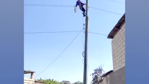 Brave electrical worker saves stuck cat.