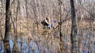 Sheriff’s Deputy rescues injured bald eagle