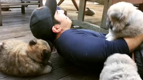 Man savagely mauled by pack of Chow Chows