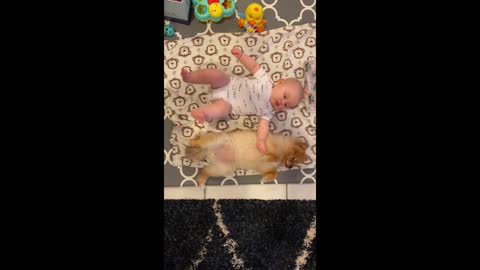 Baby shares his blanket with puppy best friend