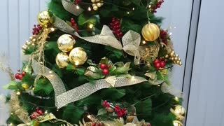 Christmas Tree & Blinking Christmas Lights