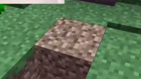 Minecraft player has experience minecraft gaming