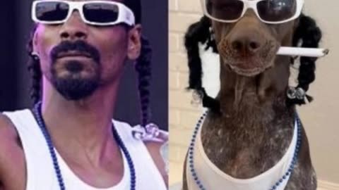 snnop dogg