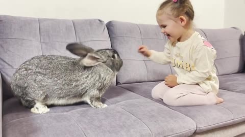Funny_Baby_Girl_Reaction_to_a_Giant_Rabbit_who_Ignores_Her