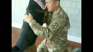 Soldier Reunited With Dog After Spending Nine Months Apart