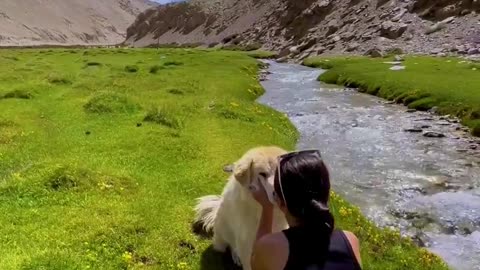 Ladakh is not only about the view and the beauty but also them furry babies too💕🐶