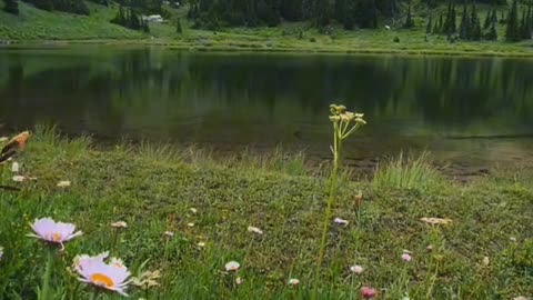 Beautiful lake in the mountains