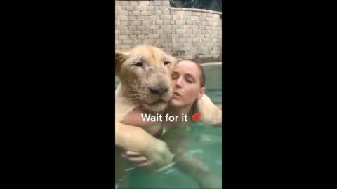 Oh my god! what are the girl and the lion doing in the water