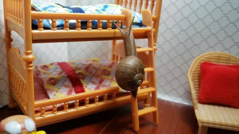 Sleepy snail goes to bed in tiny bunk bed