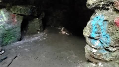 caves in florida, citrus county dames cave