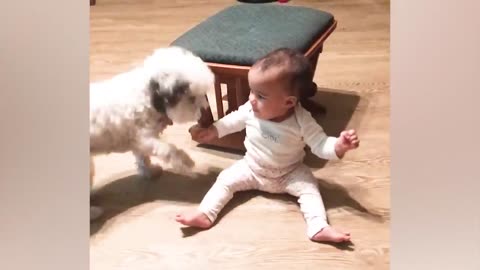 Best video of Cute Babies and Pets - Funny Baby and Pet.mp4