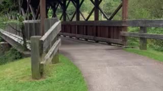 The Covered Bridge at Allegany Red House Beach