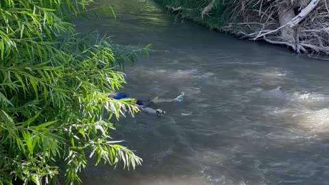 Boy Floats Down River in a Life Jacket