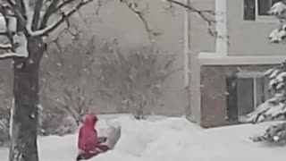 Kids playing in the snow ❄️⛄