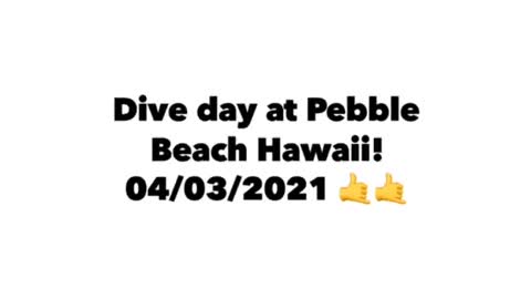 Dive day at Pebble Beach Hawaii! 🤙🤙