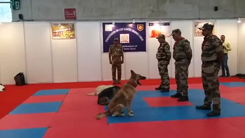 Can a dog be trained and titled in both PSA and Schutzhund?