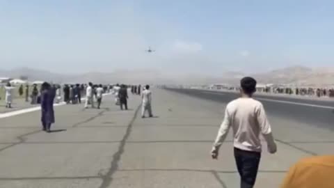 Afghans Plummet to Their Demise, Attempting To Flee the Incoming Taliban