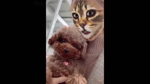 Cat and Dog Reaction to Cat Filter - Funny Cats & Dogs with Cat Filter