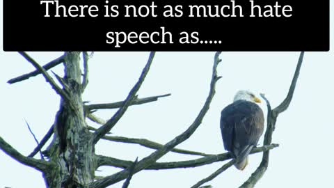Speech Hate?