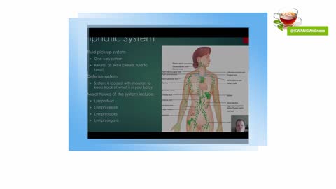 What does the lymphatic system do with all the toxins?