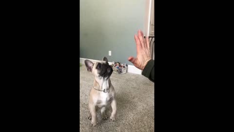 High Five