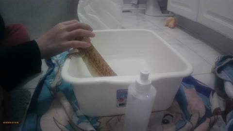 how to give your bearded dragon a bath
