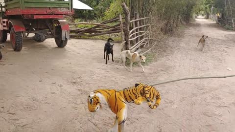 Wow Fake Tiger Prank Dog and Dog No Run So Funny Prank 2021