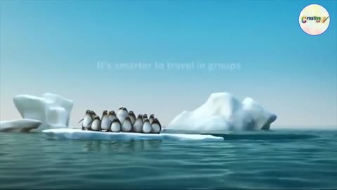 Teamwork and Leadership | Animated short clip | Creative 360 | #teamwork #leadership #motivation