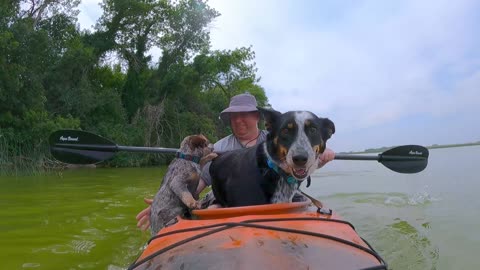 Kayaking Puppy Falls Overboard