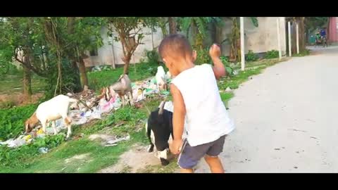 Cute baby playing with animal