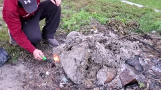 MASSIVE Yellow Jacket Nest Built Into House - Removal