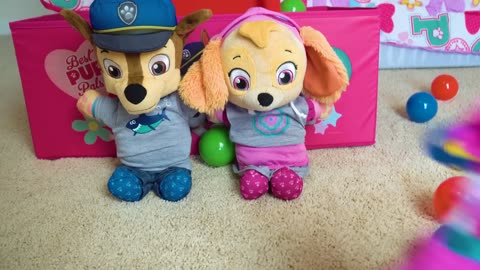 Educational Video for Kids! Paw Patrol Toys Skye and Chase!