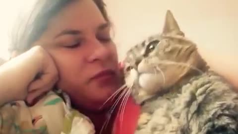 Talking cat says NO to kisses on the head