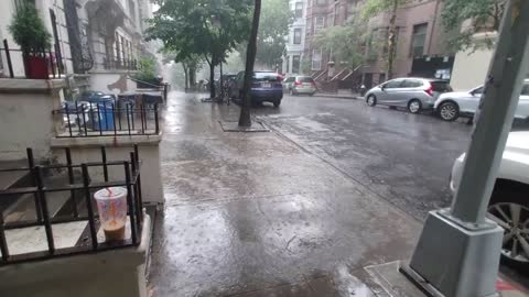 Oluja u Njujorku ! TROPICAL STORM ELSA