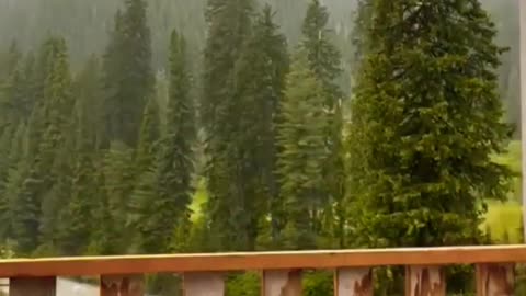 Downloads\Video\Neelum Valley Kashmir ❤️ #shorts #nature #viral #beautiful.mp4