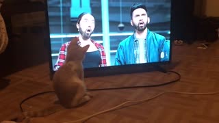 My Cat must really love Eminem😂