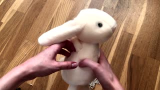 Special Secret Hidden Inside Stuffed Animal
