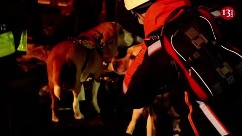 Dnipro TONIGHT: sniffer dogs help FIND dead bodies or signs of people trapped in the rubble