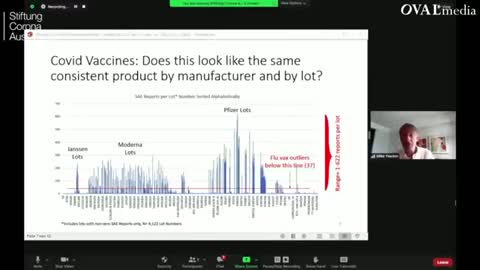 Brilliant discussion with Reiner Fuellmich & Dr Mike Yeadon, detailed analysis of vial batches