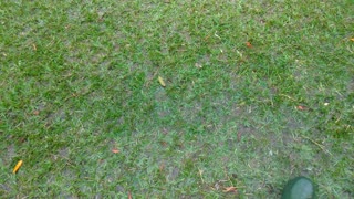 Football field with rain.
