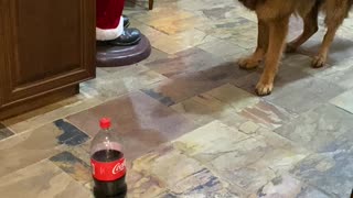 Henry vs. Coke