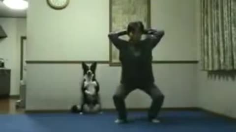 Dog Doing Squats With His Owner, Leg Day !