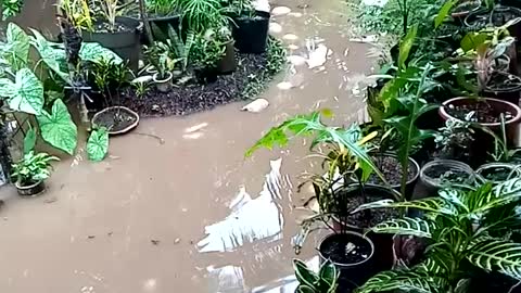 Flood during rainy session