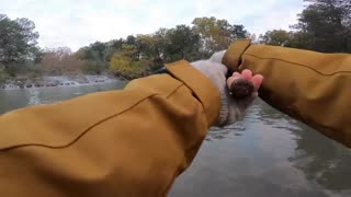 Cooking River Trout by Campfire