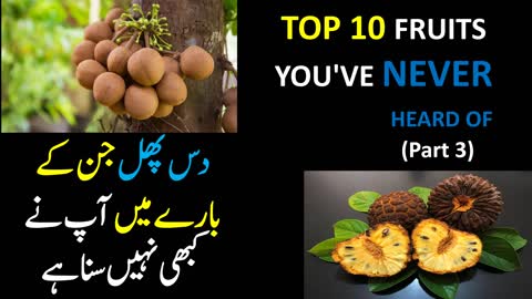 Top 10 Tropical Fruits You've Never Heard Of (Part 3) - Short