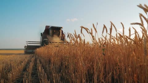 Enjoy the Harvest (PROMO) | Shabbat Night Live