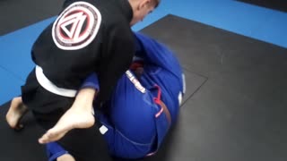 Jiu-Jitsu Shorts