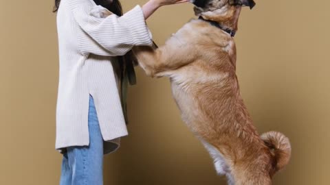 Woman Training a Dog